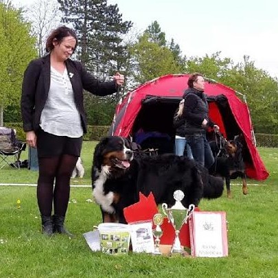 Pingo Pang-Go Cuda blev med hans dygtige "hjælper" Heidi bedste Berner samt bedst af 30 åben klasse i Holstebro.